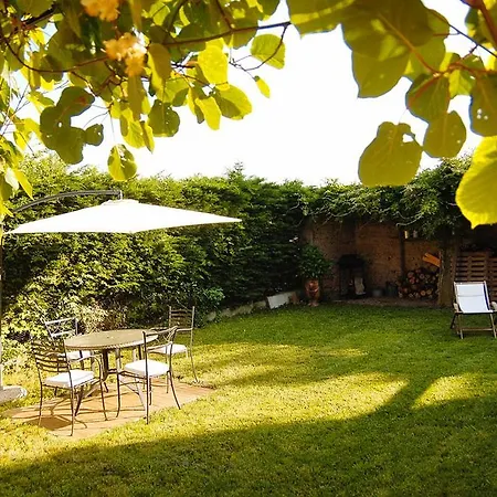 بيت للعطل Holiday Rue Saint-martin Marssac-sur-Tarn