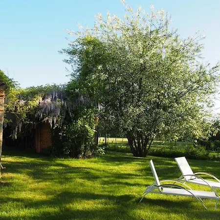 Holiday Rue Saint-martin * Marssac-sur-Tarn