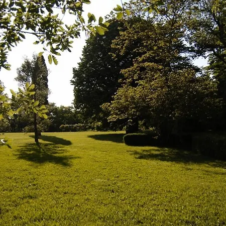 Holiday Rue Saint-martin Marssac-sur-Tarn